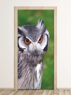 Fototapeta na drzwi sowa FP 6258 - Wzór graficzny. Sowa z wyraźnymi pomarańczowymi oczami na zielonym tle