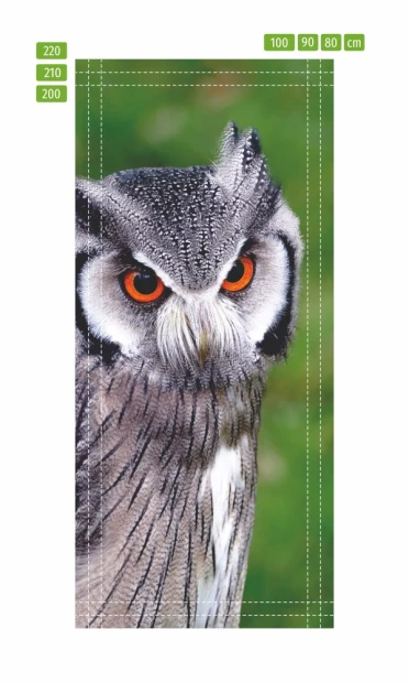 Fototapeta na drzwi sowa FP 6258 - Wzór graficzny. Sowa z wyraźnymi pomarańczowymi oczami i szaro-brązowym upierzeniem