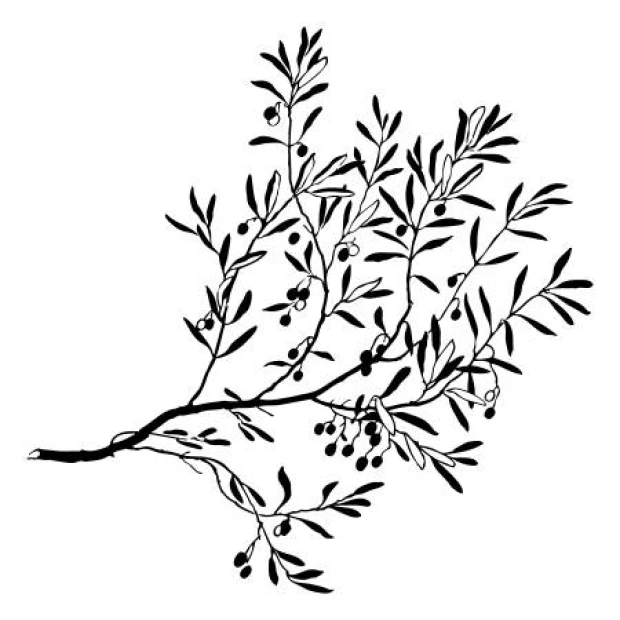 Naklejka na ścianę gałąź drzewa 2379 - Wzór graficzny. Grafika przedstawia gałąź z liśćmi i owocami w kolorze czarnym