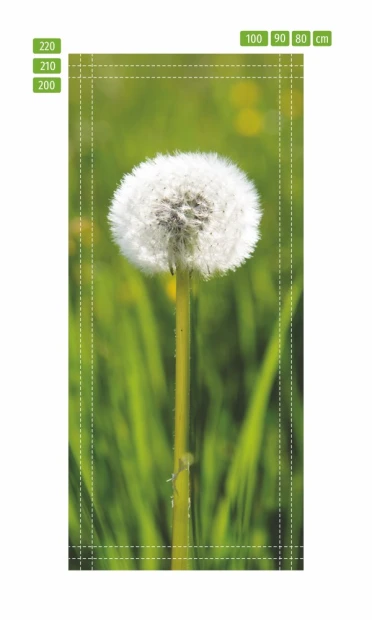 Fototapeta na drzwi dmuchawiec na tle traw FP 6286 - Wzór graficzny. Dmuchawiec na zielonym tle traw, z wyraźnymi detalami
