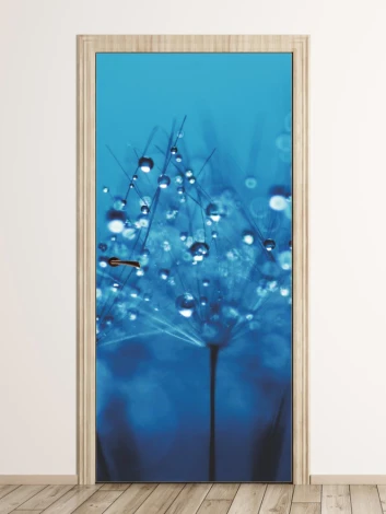 Fototapeta na drzwi krople FP 6287 - Wzór graficzny. Niebieskie tło z kroplami wody na delikatnych łodygach