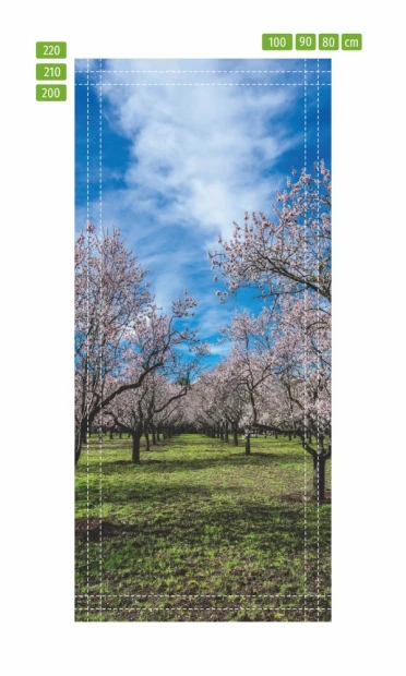 Fototapeta naklejka na drzwi sad FP 6301 - Wzór graficzny. Przedstawia rząd drzew owocowych w kwitnących różowych kwiatach