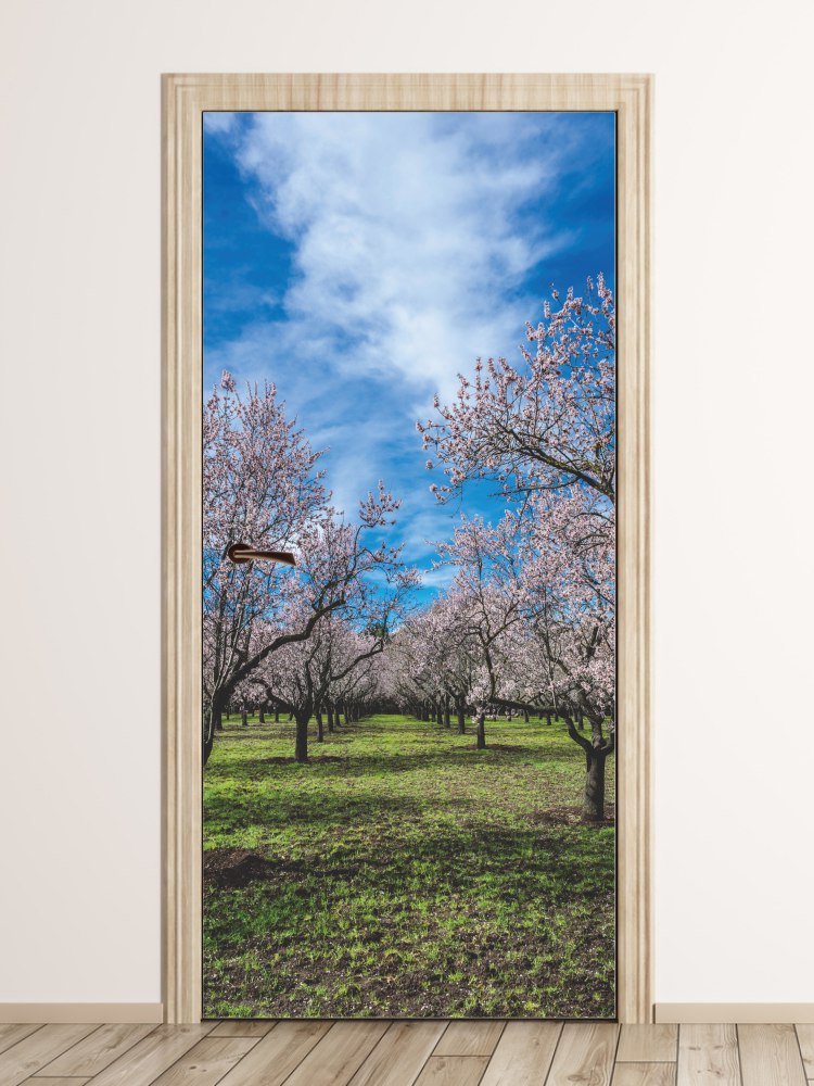 Fototapeta naklejka na drzwi sad FP 6301