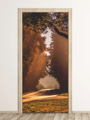 Fototapeta naklejka na drzwi droga przez las FP 6304
