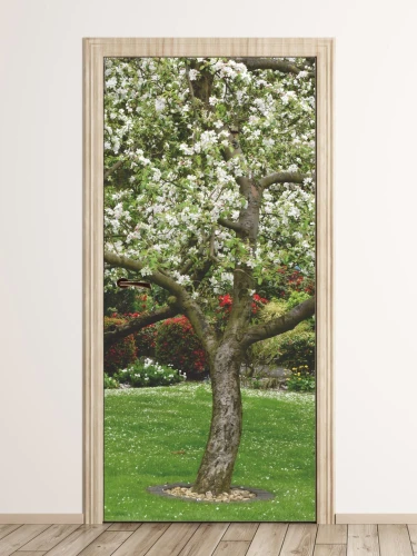Fototapeta naklejka na drzwi kwitnące drzewo FP 6318