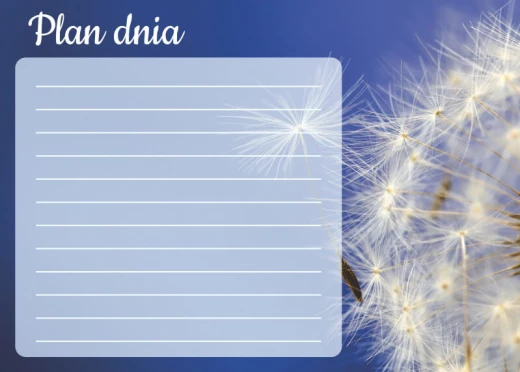 Tablica magnetyczna suchościeralna z nadrukiem planu dnia i motywem dmuchawca na białym tle
