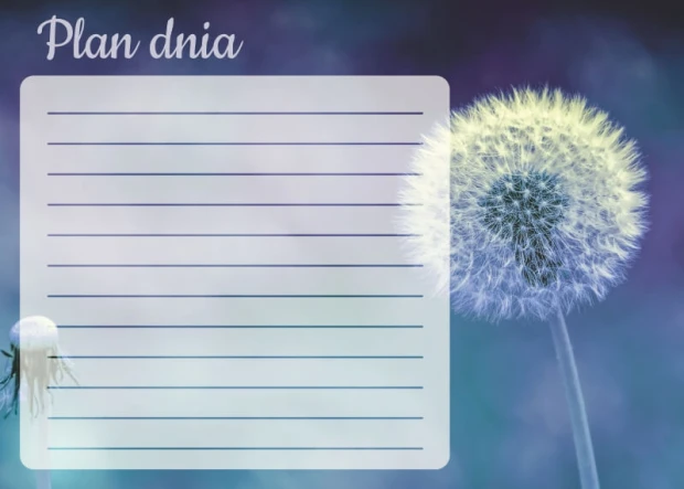 Tablica magnetyczna suchościeralna plan dnia dmuchawiec 356 - Wzór graficzny. Na tle w odcieniach niebieskiego i fioletowego