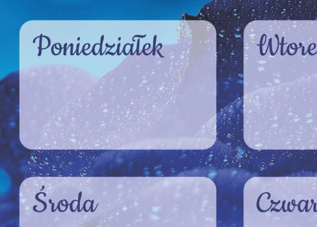 Detal tablicy magnetycznej suchościeralnej z nadrukiem planu tygodnia na tle niebieskiej róży