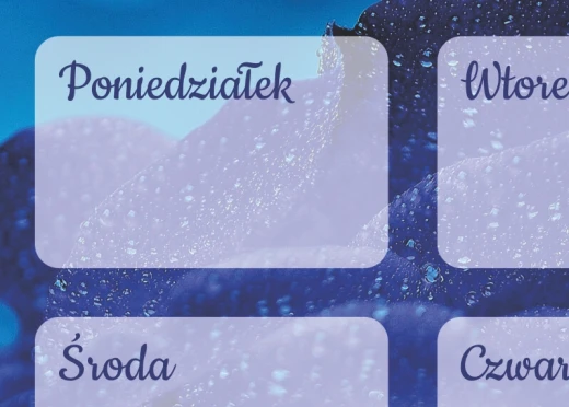 Tablica suchościeralna z planem tygodnia i motywem niebieskiej róży w zbliżeniu na detale nadruku