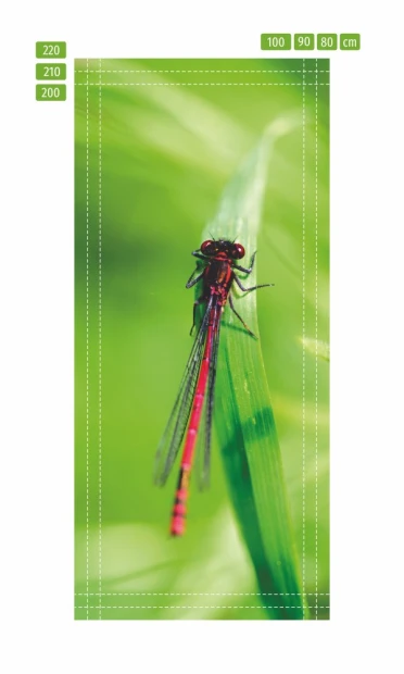 Fototapeta naklejka na drzwi ważka FP 6325 - Wzór graficzny. Ważka w czerwonym kolorze na zielonym tle, z wyraźnymi detalami