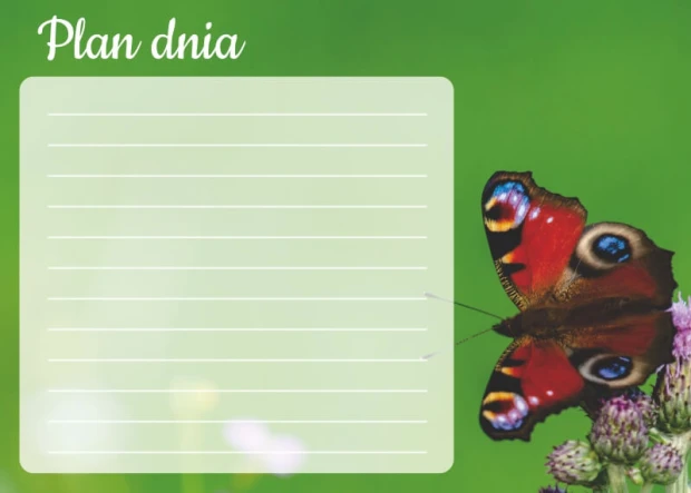 Plan dnia tablica suchościeralna motyl 365 - Wzór graficzny. Na zielonym tle znajduje się motyl z czerwonymi skrzydłami
