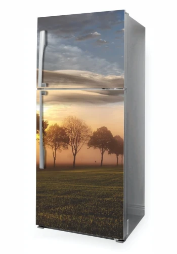 Okleina na lodówkę naklejka drzewa P1085