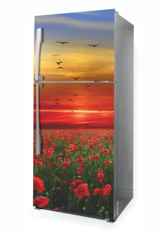 Okleina na lodówkę naklejka maki P1077 - Aranżacja w kuchni. Ściany w jasnych odcieniach, nowoczesne meble