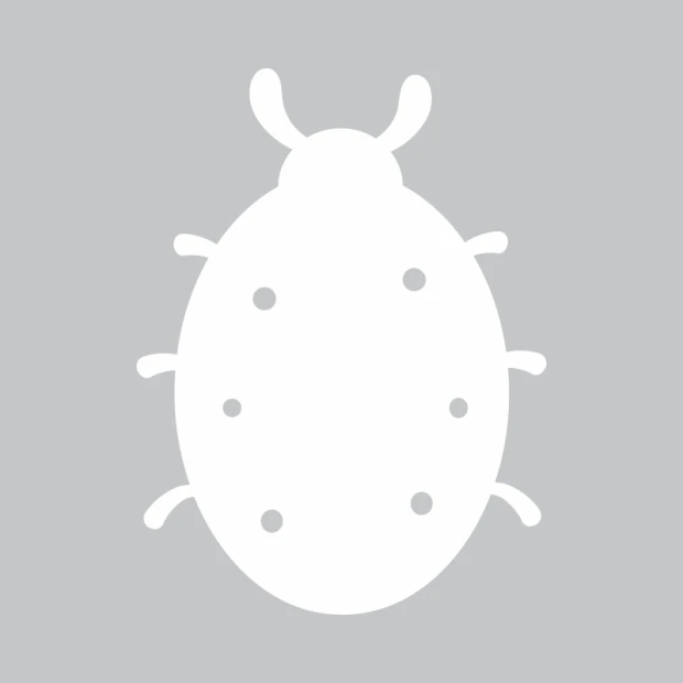 Tablica suchościeralna biedronka 222 - Wzór graficzny. Kształt biedronki z okrągłymi kropkami na tle
