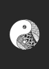 Plakat Yin Yang 057 - Wzór graficzny. Grafika przedstawia symbol yin yang z różnorodnymi wzorami w czerni i bieli