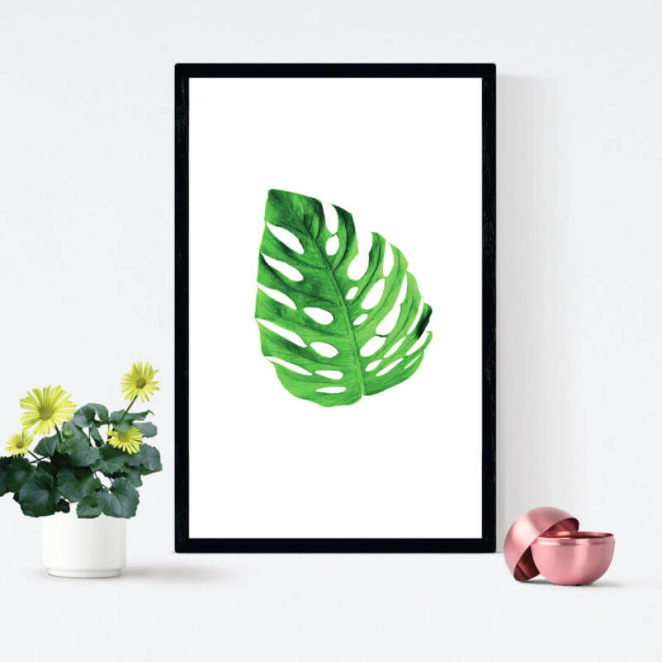Plakat Monstera 118 - Wzór graficzny. Liść monstery na białym tle z wyraźnymi nacięciami