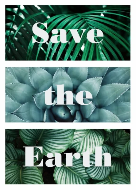 Plakat z napisem Save the Earth na tle zielonych liści i sukulentów, przedstawiony jako grafika na białym tle