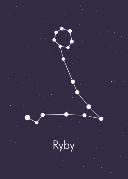 Plakat Znak zodiaku ryby 113 - Wzór graficzny. Na ciemnym tle widoczna konstelacja ryb w białych liniach