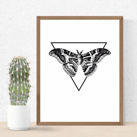 Plakat ćma 185 - Wzór graficzny. Motyw przedstawia ćmę w trójkącie, w kolorze czarnym na białym tle