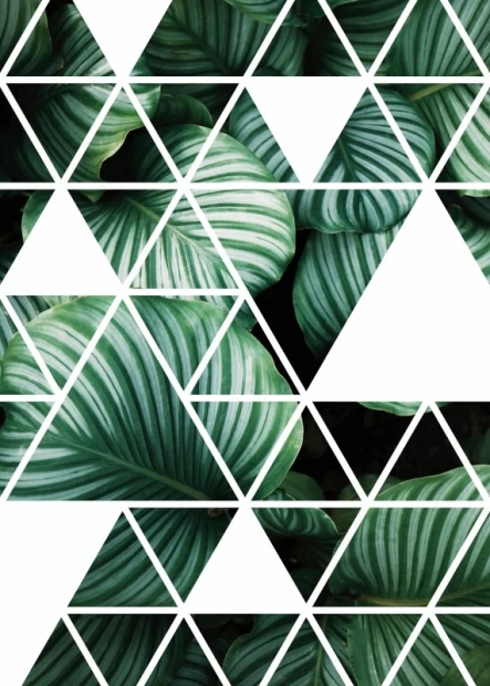 Plakat geometria 181 - Wzór graficzny. Zielone liście w trójkątnych ramach o białym tle