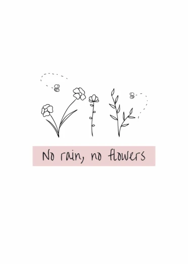 Plakat typograficzny z napisem No rain, no flowers na różowym tle oraz rysunkiem kwiatów i pszczół