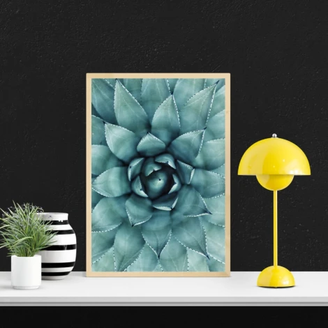 Plakat sukulent 174 - Wzór graficzny. Zielony sukulent z wyraźnymi liśćmi i delikatnymi detalami