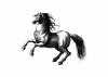 Plakat koń 210 - Wzór graficzny. Rysunek konia w ruchu, szczegółowe kontury i dynamiczna postura