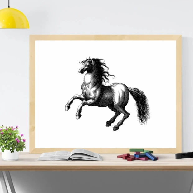 Plakat retro z czarno-białą grafiką przedstawiającą stojącego dęba konia, oprawiony w jasną drewnianą ramę