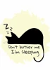 Plakat kot 205 - Wzór graficzny. Czarny kot w pozycji leżącej z napisem Dont bother me Im sleeping na jasnym tle