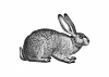 Plakat zając 206 - Wzór graficzny. Zając w pozycji siedzącej, szczegółowe futro, długie uszy, czarny kontur na białym tle