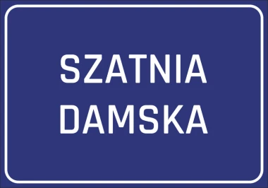 Naklejka Szatnia damska - Wzór graficzny. Prosty, prostokątny kształt z białym tekstem na niebieskim tle