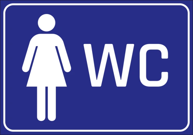 Niebieska prostokątna naklejka informacyjna na drzwi z białym piktogramem kobiety oraz napisem WC