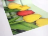 Duża naklejka na ścianę na zamówienie - Wzór graficzny. Żółte i czerwone tulipany na zielonym tle