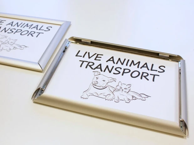 Ramka OWZ - Wzór graficzny. Grafika przedstawia psa i kota obok napisu LIVE ANIMALS TRANSPORT