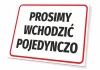 Tabliczka Prosimy wchodzić pojedynczo - Wzór graficzny. Prosty prostokąt z białym tłem i dużym czarnym napisem, otoczony