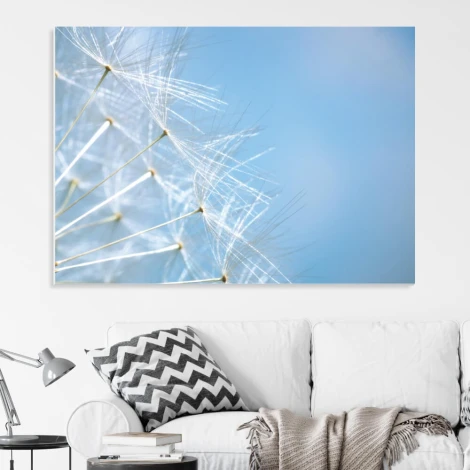 Tablica suchościeralna 01X 072 dmuchawiec - Wzór graficzny. Na tle niebieskim widoczne są delikatne puchowe nasiona