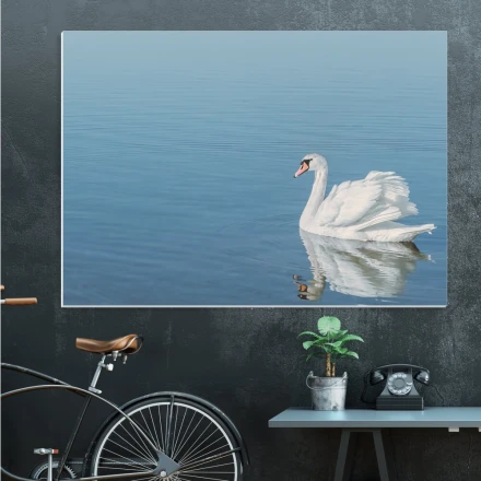 Tablica suchościeralna 198 łabędź