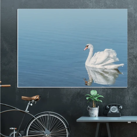 Tablica suchościeralna 198 łabędź - Aranżacja w biurze. Ściany w odcieniu szaro-niebieskim