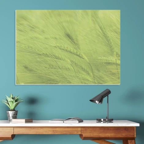 Tablica suchościeralna 199 zboże - Aranżacja w biurze. Ściany w odcieniu niebieskim, drewniane meble i roślinność