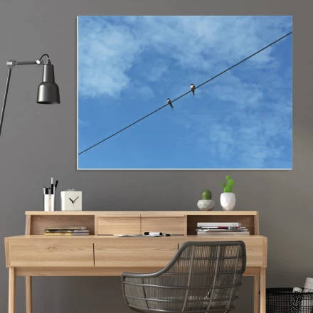 Tablica suchościeralna jaskółki 231