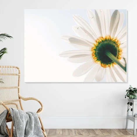 Tablica suchościeralna stokrotka 236 - Wzór graficzny. Grafika przedstawia stokrotkę z białymi płatkami i żółtym środkiem