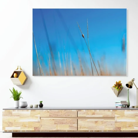 Tablica suchościeralna 202 kłosy, niebo - Aranżacja w nowoczesnym biurze. Ściany w jasnym kolorze, minimalistyczne meble