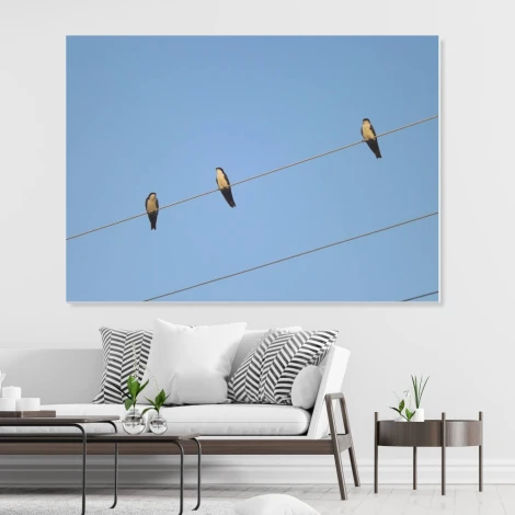 Tablica suchościeralna jaskółki 235 - Aranżacja w nowoczesnym salonie. Ściany w jasnym kolorze, meble w odcieniach szarości