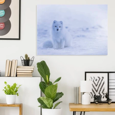 Magnetyczna tablica suchościeralna lis polarny 248 - Aranżacja w biurze. Ściany w jasnych odcieniach, nowoczesne meble