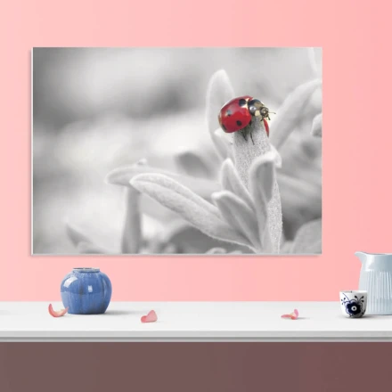 Tablica magnetyczna suchościeralna biedronka 205