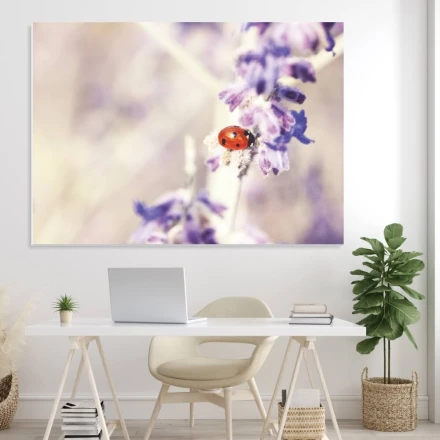 Tablica magnetyczna suchościeralna biedronka 250