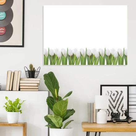 Tablica suchościeralna magnetyczna tulipany 01X 068