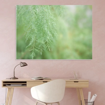 Tablica magnetyczna suchościeralna gałąź 194