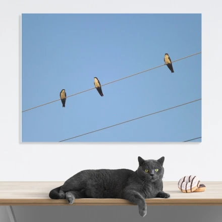 Tablica magnetyczna suchościeralna jaskółki 235