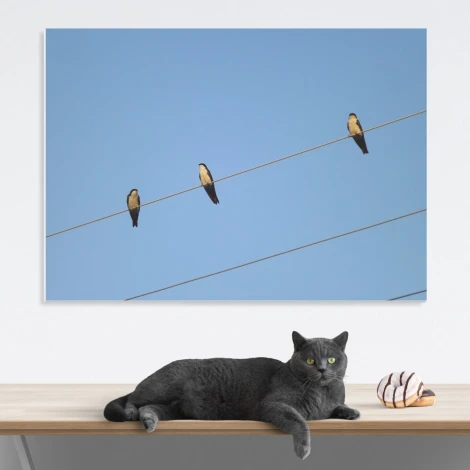 Tablica magnetyczna suchościeralna jaskółki 235 - Aranżacja w pokoju. Ściany w jasnym kolorze, minimalistyczne meble